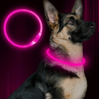EVERBETTERUS LED Dog Collar USB Rechargeable Glowing Lighted up Collar, Cuttable Water-Resistant TPU Safety Collar Lights for Small Medium Large Dogs, Pink