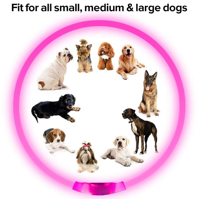 EVERBETTERUS LED Dog Collar USB Rechargeable Glowing Lighted up Collar, Cuttable Water-Resistant TPU Safety Collar Lights for Small Medium Large Dogs, Pink