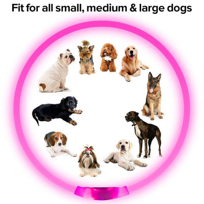 EVERBETTERUS LED Dog Collar USB Rechargeable Glowing Lighted up Collar, Cuttable Water-Resistant TPU Safety Collar Lights for Small Medium Large Dogs, Pink